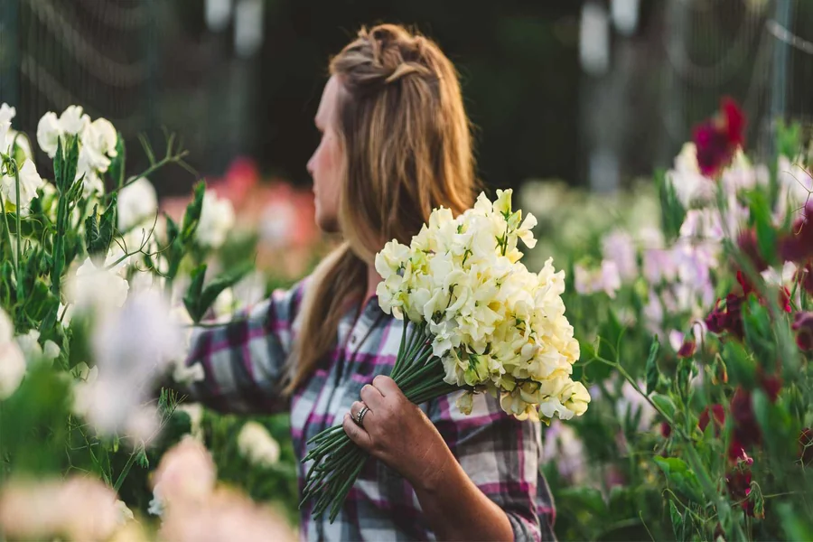 A Guide to Flower Quality, Cultivation, and Storage Guide to Flower
