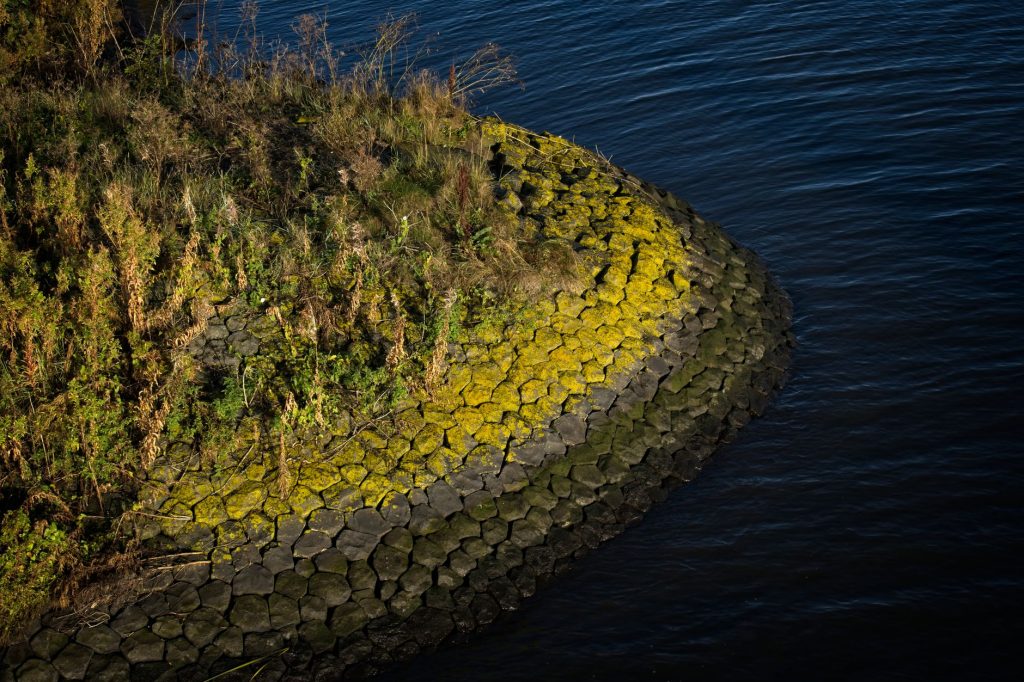 What Is a Shoreline Buffer on Waterfront Property? Shoreline Buffer